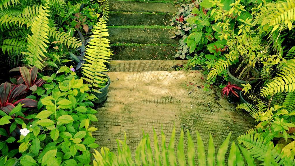 Villa Mariana Kochi Екстериор снимка